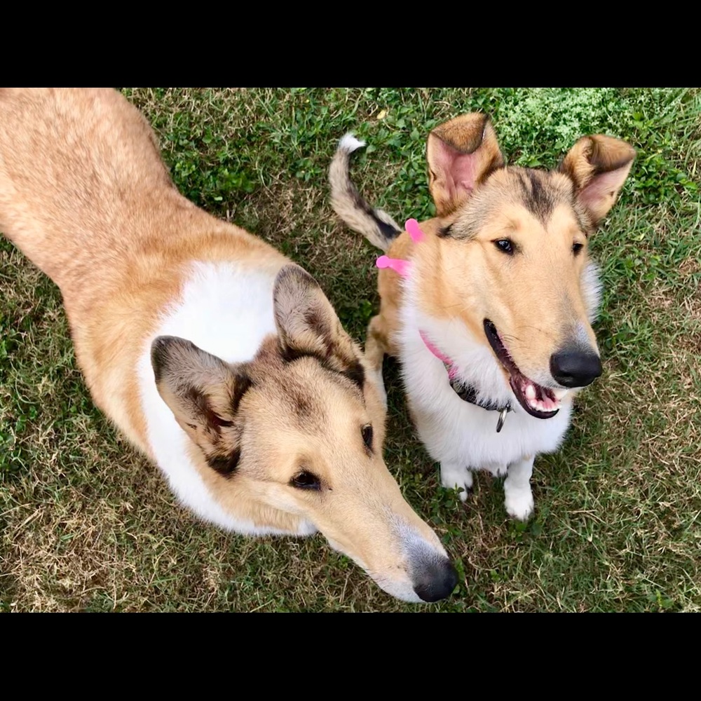 Meet your Posher, Debra